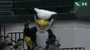 tribeathletics dancing griffin gotribe tribeathletics GIF