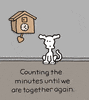 I Love You Dogs GIF by Chippy the Dog