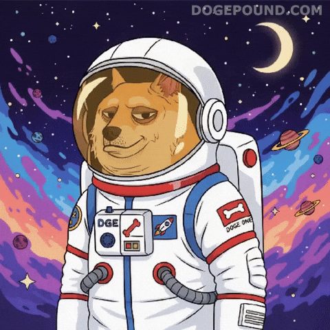 Blinking Shiba Inu GIF by Doge Pound