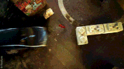tv show disney GIF by Beyond