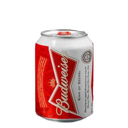 beer america GIF by imoji