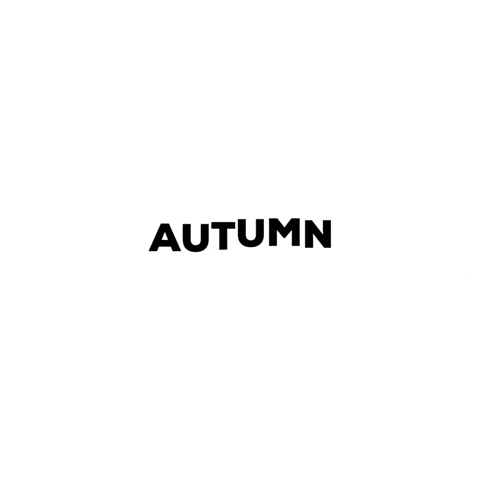 CromosApp giphygifmaker autumn app palette GIF