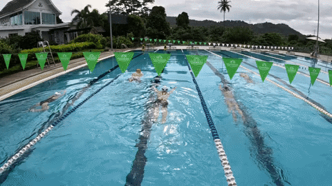 skillsnt giphyupload swimming pool pools GIF