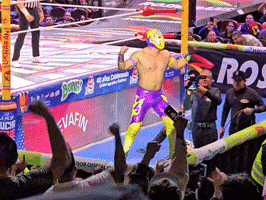 Lucha Libre Celebration GIF
