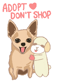 Adopt Good Boy Sticker