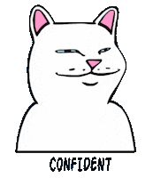 RIPNDIP_CAT happy cat confused confident Sticker