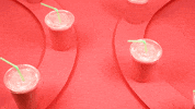 stop motion animation GIF by Phyllis Ma