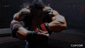 Video Game Alex GIF by CAPCOM