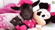 GIF by Random Goat