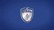 stal GIF by FC Shakhtar