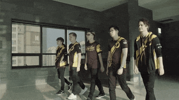 heroes of the storm team GIF by dignitas