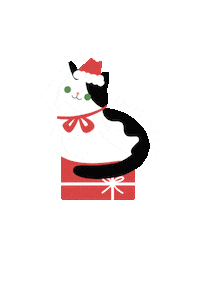 Gift Card Cat Sticker by Stickerrific