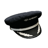 plane flying Sticker by Air Serbia