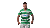 Football Yes Sticker by SpVgg Greuther Fürth