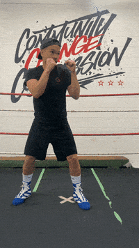 quinitboxing  GIF