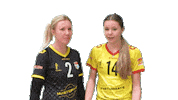 Volleyball Sticker by Draisma Dynamo