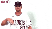 Southern Illinois Mvc GIF by Missouri Valley Conference