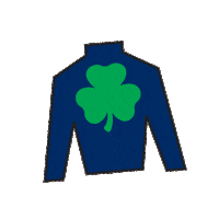 Sport Silk Sticker by Kentucky Derby