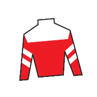 Sport Silk Sticker by Kentucky Derby