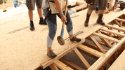 Hammer GIF by Roanoke College