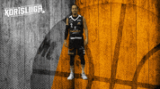 Sport Basketball GIF by Basket_fi