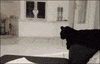 GIF by Digg