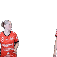 Handball Sticker by Hollenstedt-Handball