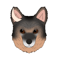 fluffybydesign dog zodiac ox chinesezodiac Sticker