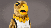 Eddietheeagle GIF by Cal State LA