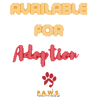 Rescue Dog Adopt Sticker by Rescue P.A.W.S. Thailand