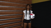 USAODrovers college volleyball usao drovers usao usao volleyball GIF