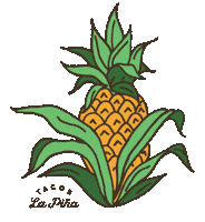 tacoslapina brand business fruit restaurant Sticker