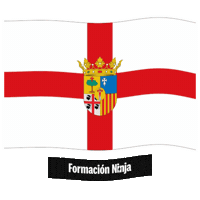Flag Spain Sticker by Formación Ninja