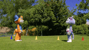 Olympics Karate GIF by 44 Cats