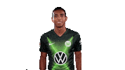 João Victor Soccer Sticker by VfL Wolfsburg