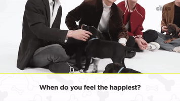 The Happiest