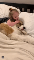 Toddler and Dog Snuggle Up for Nap