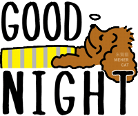 睡 Good Night Sticker