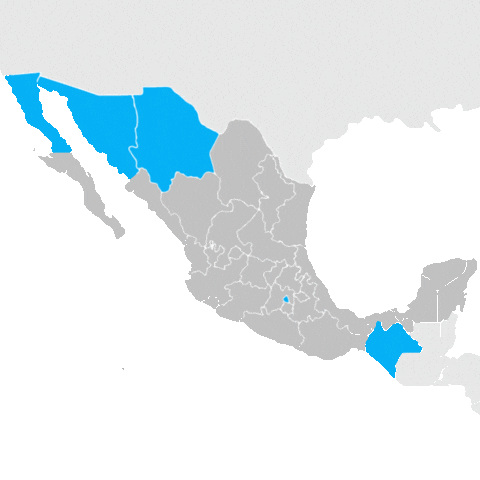 Estados impactados