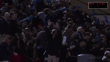 bjubruins bju bruins GIF