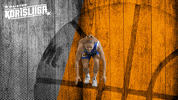 Sport Basketball GIF by Basket_fi