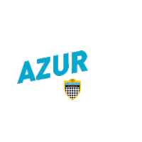 France Azur Sticker by Curbstone Events