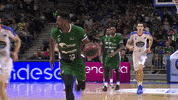 Liga Endesa Basketball GIF by ACB
