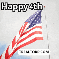 Real Estate Usa GIF by Trealtorr