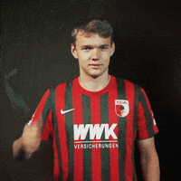 Goal Bundesliga GIF by FC Augsburg 1907