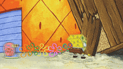 GIF by SpongeBob SquarePants