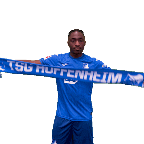 Sport Bundesliga Sticker by TSG Hoffenheim