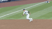 New York Yankees Wow GIF by Jomboy Media