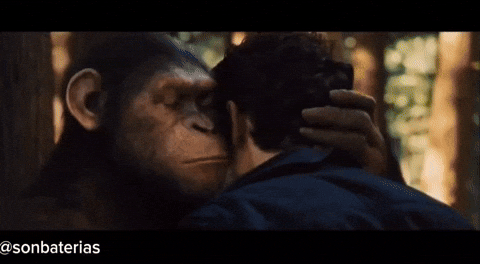 Planeta De Los Simios Mono GIF by Sonbaterias