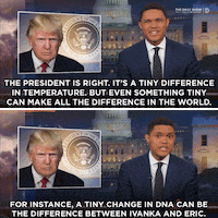 GIF by The Daily Show with Trevor Noah